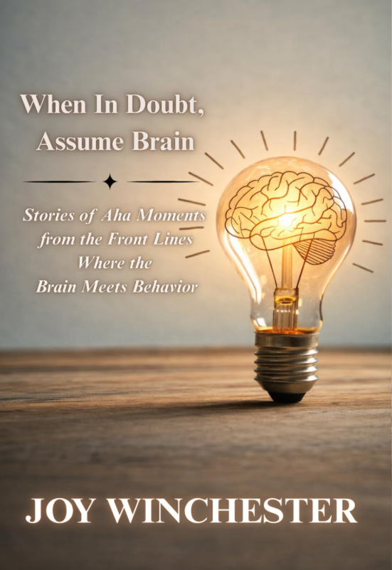 Book cover of When In Doubt, Assume Brain: Stories of Aha Moments from the Front Lines Where the Brain Meets Behavior by Joy Winchester